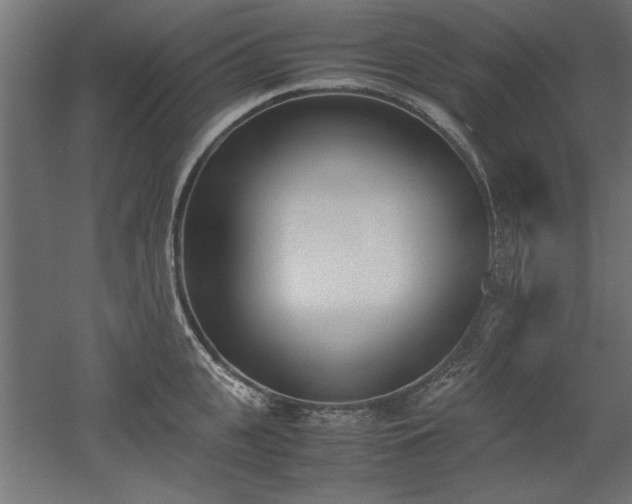 X0000052610951200507011224