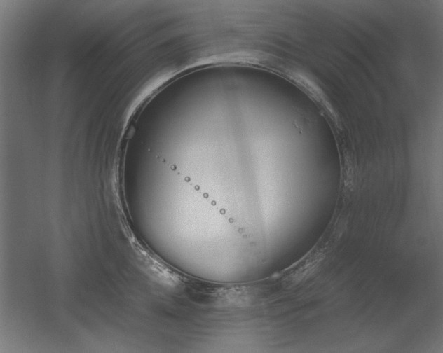 X0000052610952200507011224