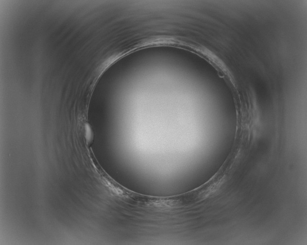 X0000052610953200507011224