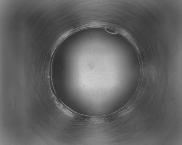 X0000052610954200507011224