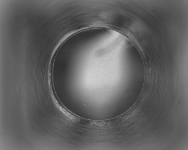 X0000052610955200507011224