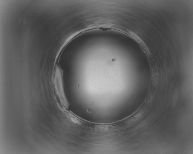 X0000052610956200507011224