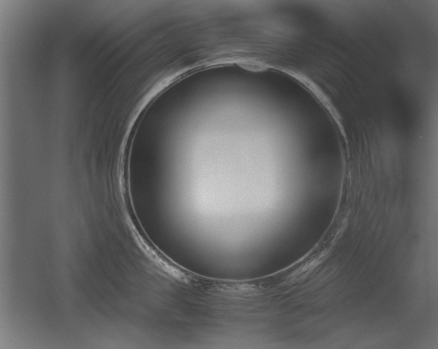 X0000052610957200507011224