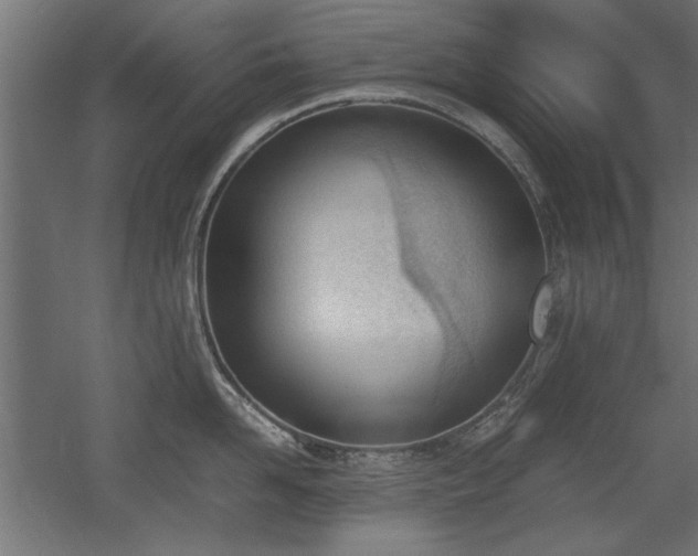 X0000052610958200507011224