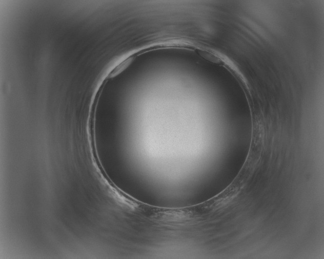 X0000052610959200507011224