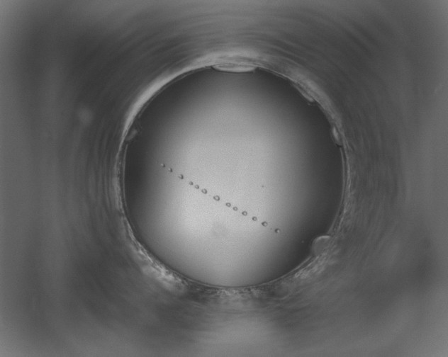 X0000052610960200507011224