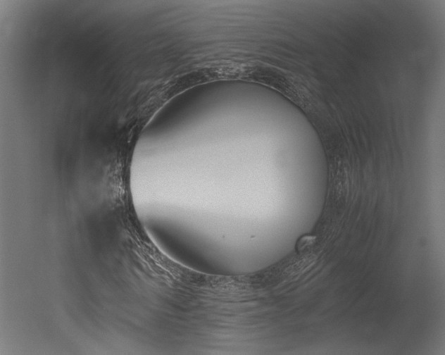 X0000052610962200507011223