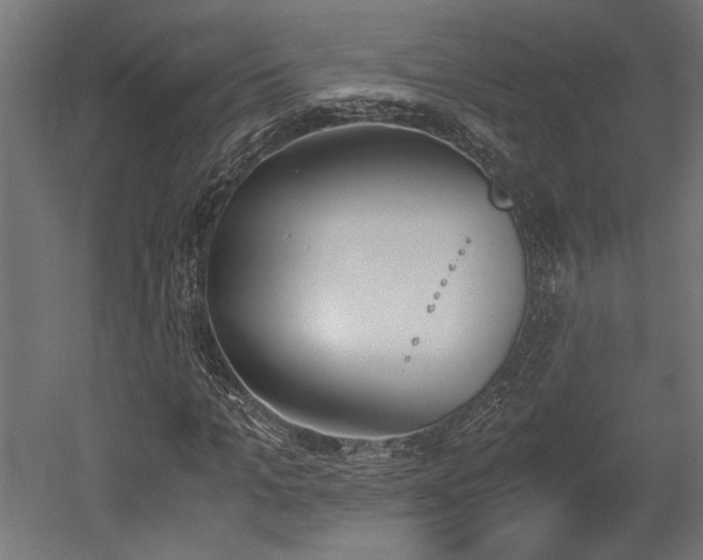 X0000052610965200507011223