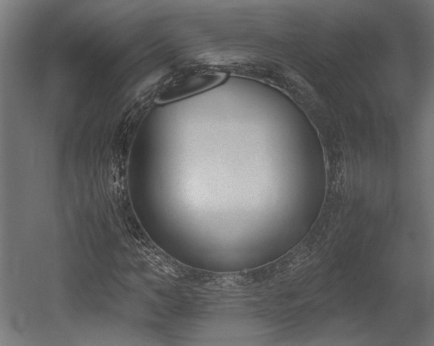 X0000052610966200507011223