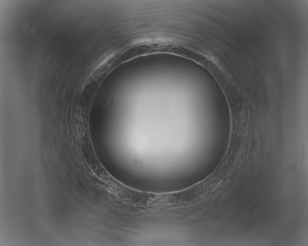 X0000052610967200507011223