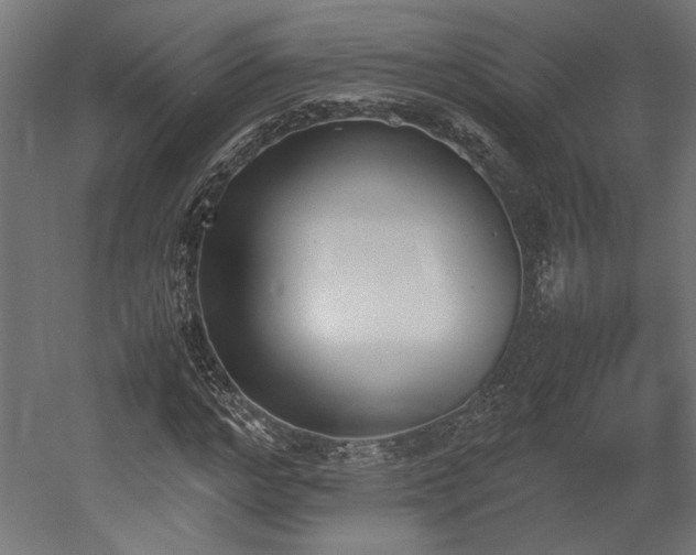 X0000052610968200507011223