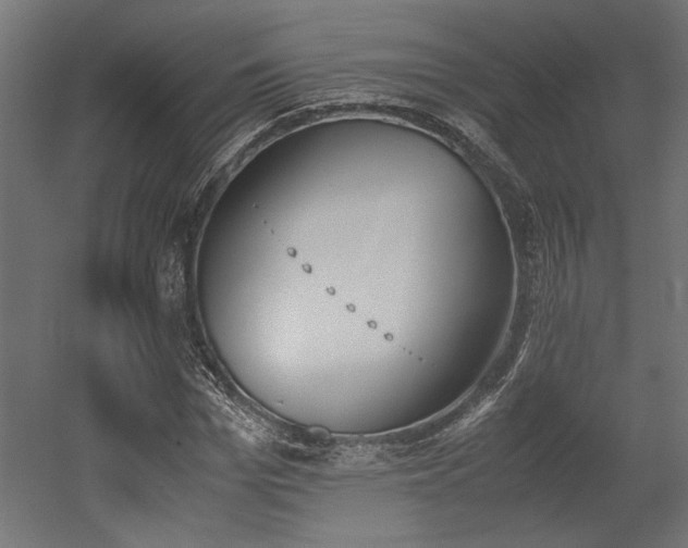 X0000052610969200507011223