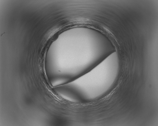 X0000052610970200507011223