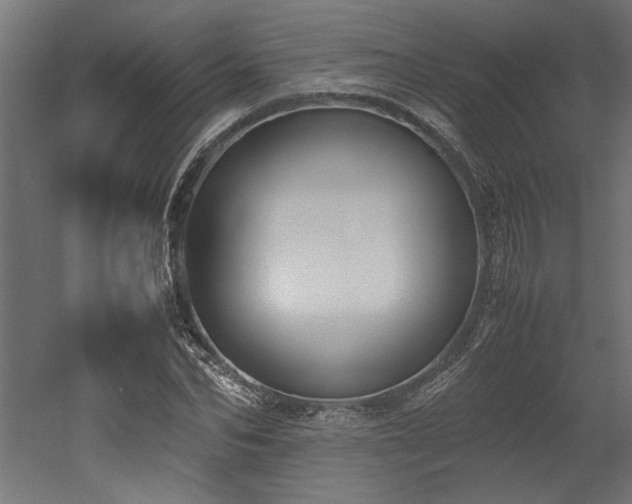 X0000052610974200507011223