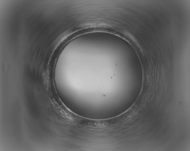 X0000052610975200507011223