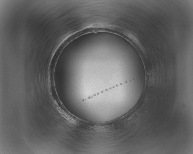 X0000052610976200507011223