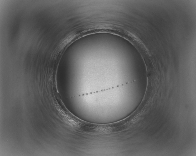 X0000052610977200507011223