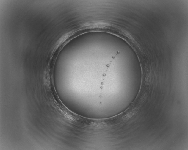 X0000052610978200507011223