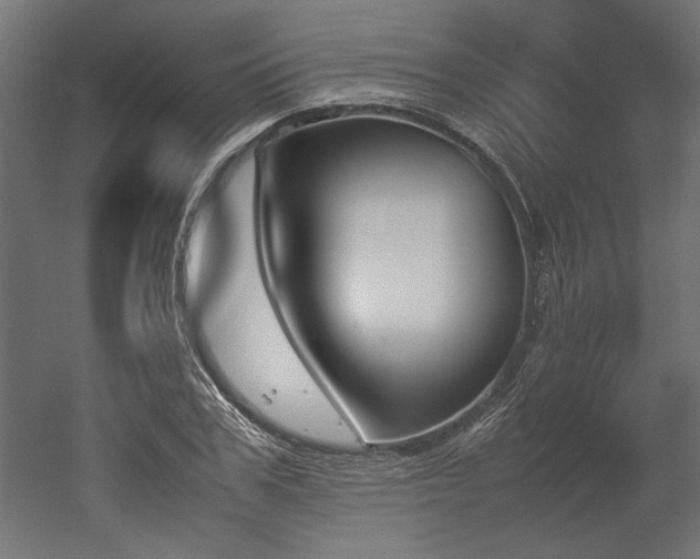 X0000052610979200507011223