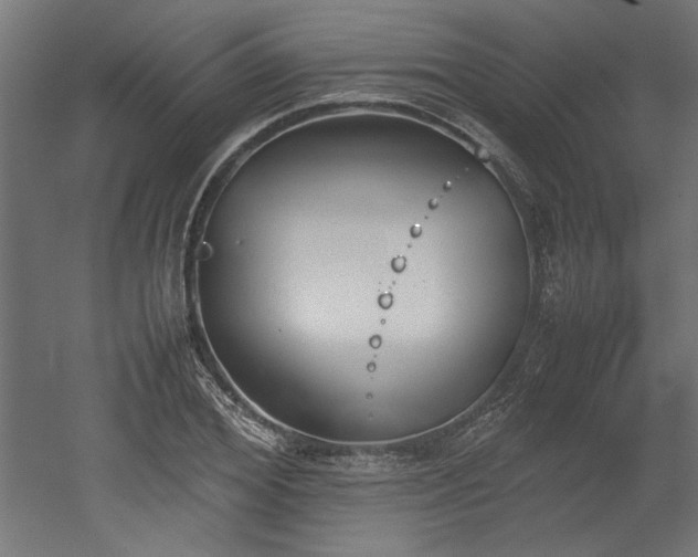 X0000052610980200507011223