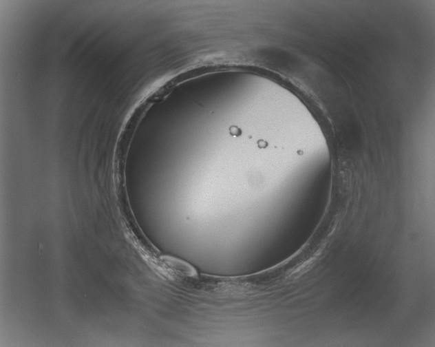 X0000052610981200507011223