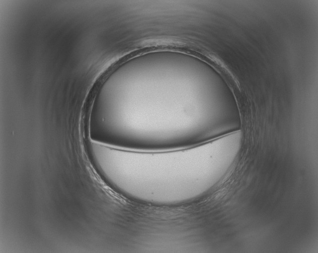 X0000052610983200507011223