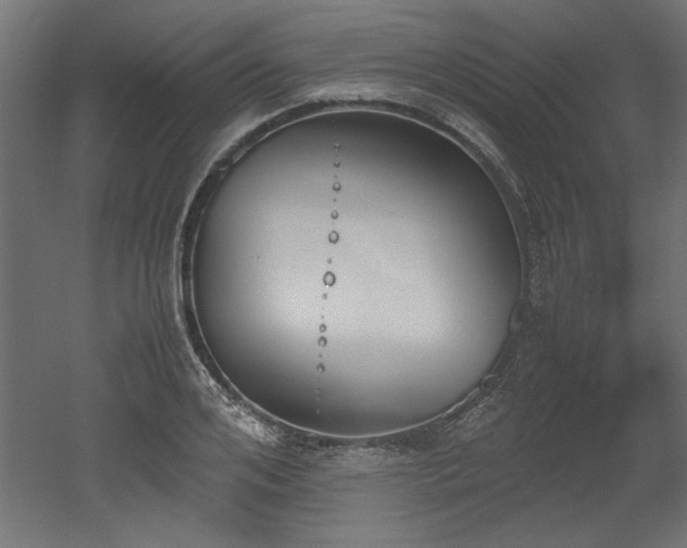 X0000052610984200507011223