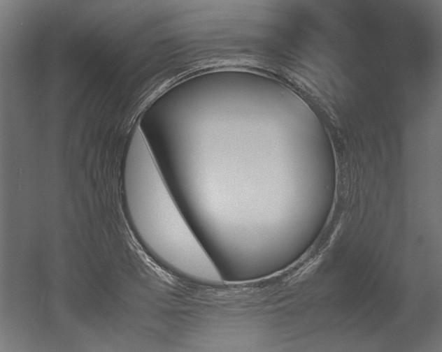 X0000052610985200507011223