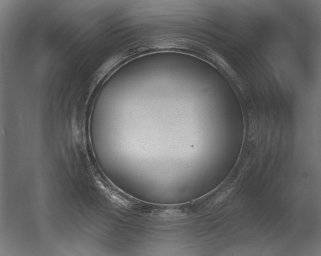 X0000052610986200507011223