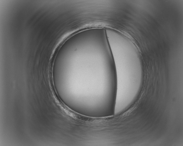 X0000052610989200507011223