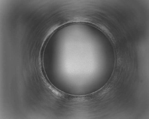 X0000052610990200507011223