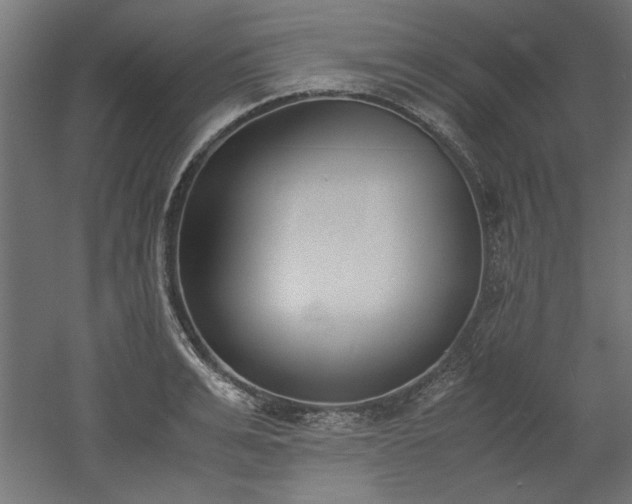 X0000052610991200507011223