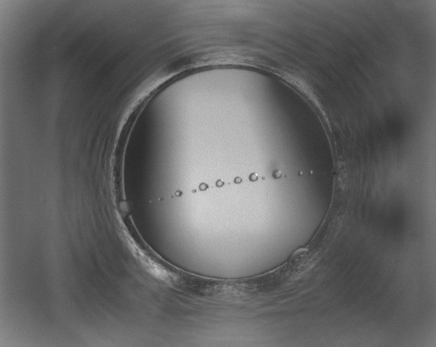 X0000052610995200507011222