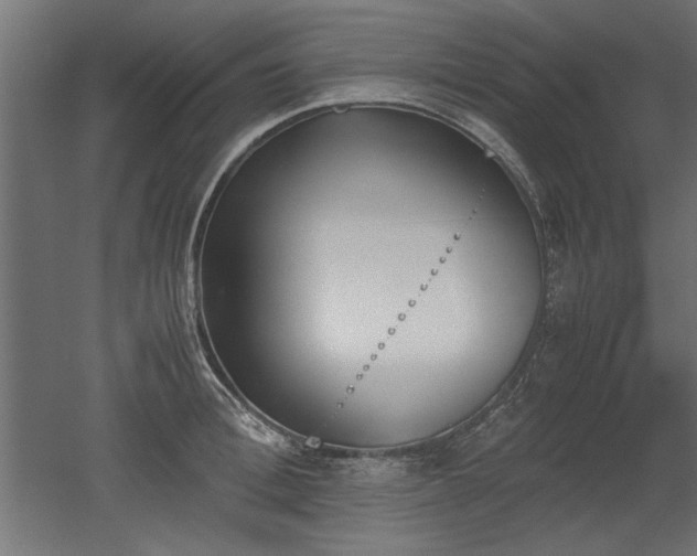 X0000052610996200507011222