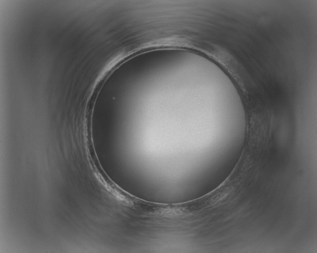 X0000052610998200507011222