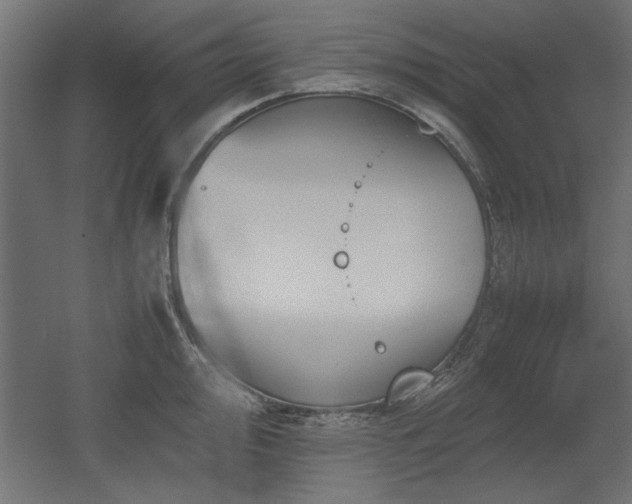 X0000052611000200507011222