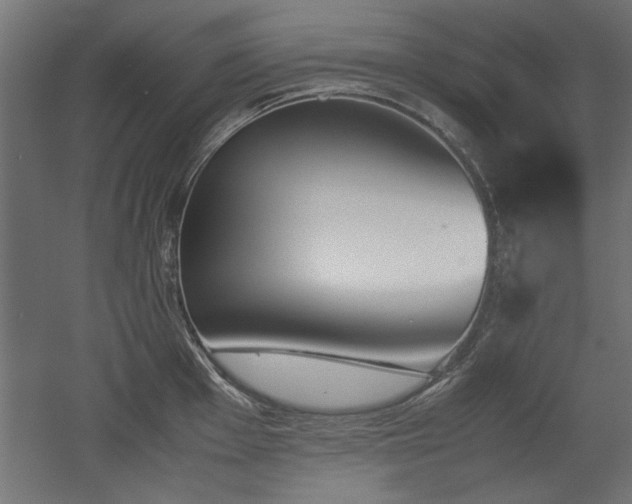 X0000052611001200507011222