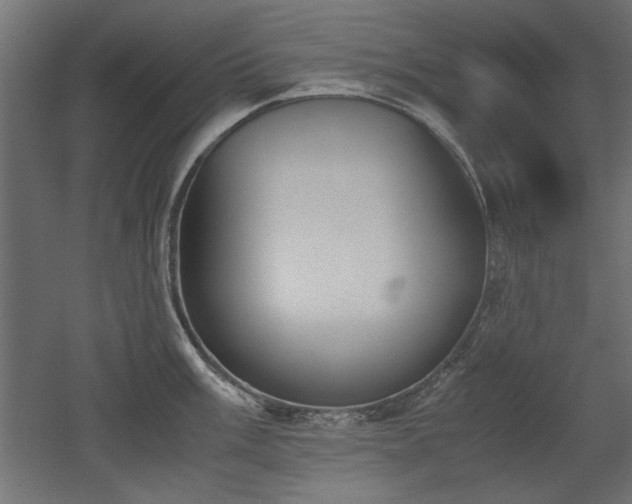 X0000052611003200507011222