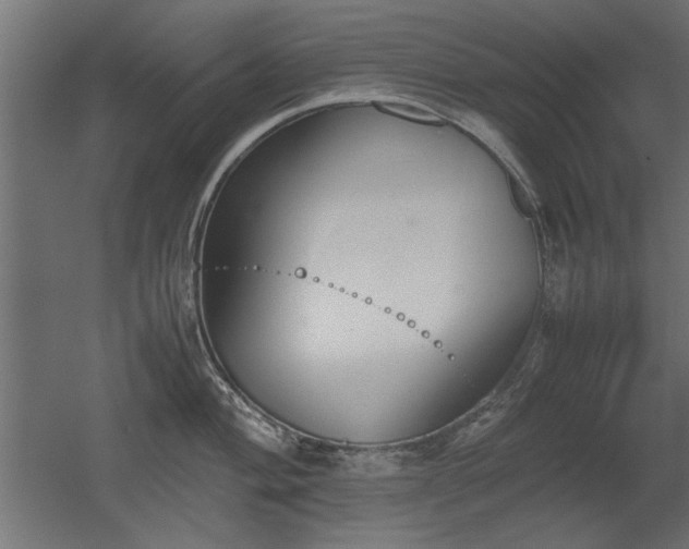 X0000052611004200507011222