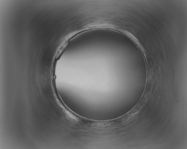 X0000052611005200507011222