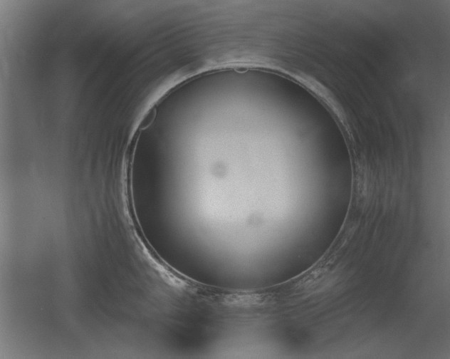 X0000052611006200507011222