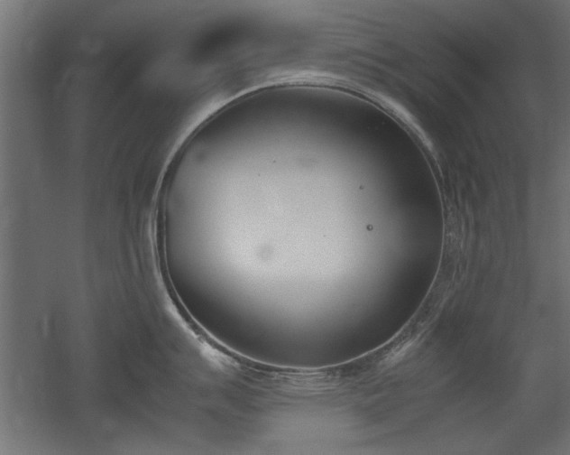 X0000052611007200507011222