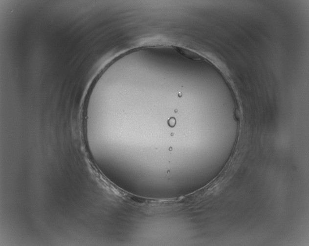 X0000052611008200507011222