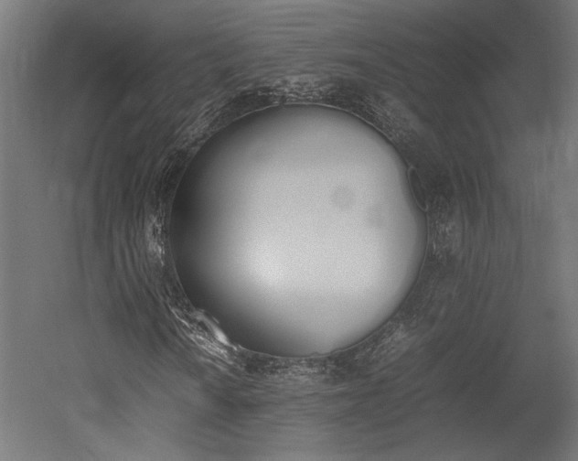 X0000052611010200507011221