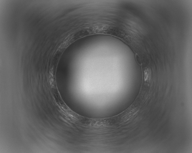 X0000052611011200507011221