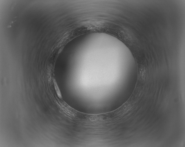 X0000052611012200507011221