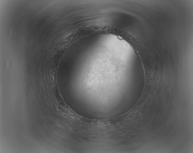 X0000052611013200507011221