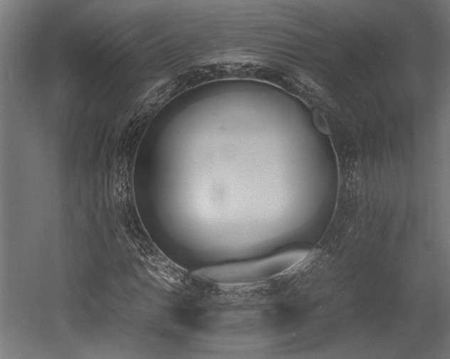 X0000052611014200507011221