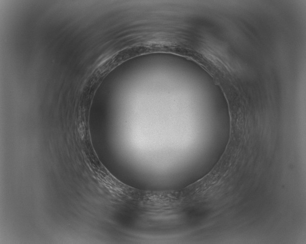 X0000052611015200507011222