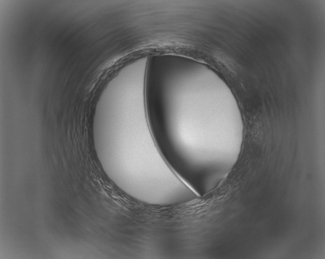 X0000052611016200507011222